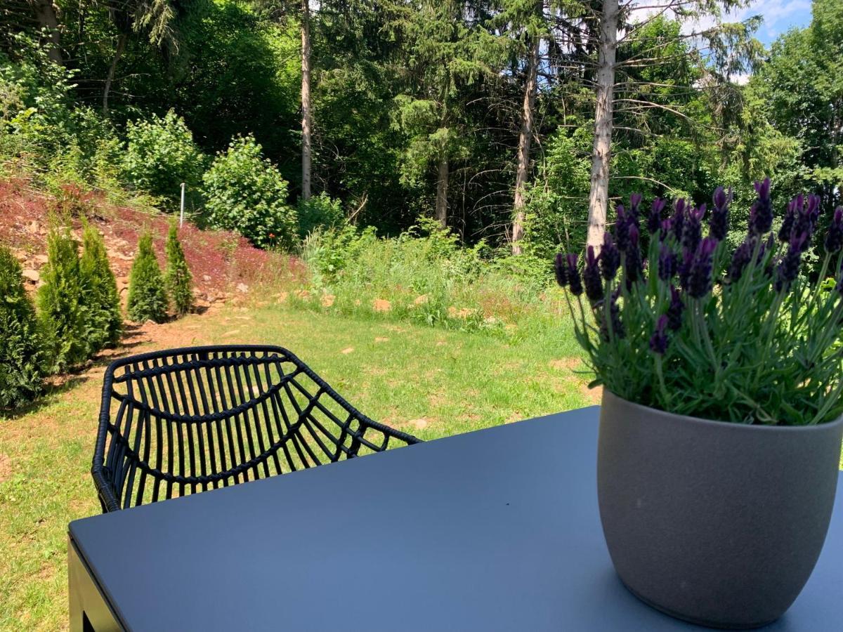 Moderne Wohnung Im Gruenen Mit Privatem Garten Donaueschingen Extérieur photo